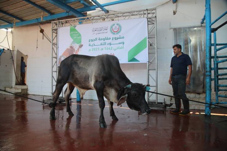 الأطباء العرب يختتم مشروع مقاومة الجوع وسوء التغذية - الأضاحي 1442هـ _2021 م