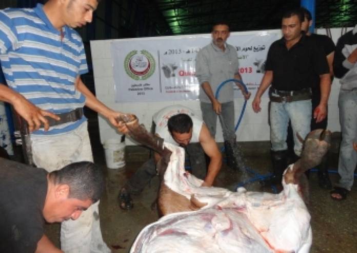 اتحاد الأطباء العرب يوزع لحوم الأضاحي على أكثر من  أربعة آلاف أسرة في قطاع غزة